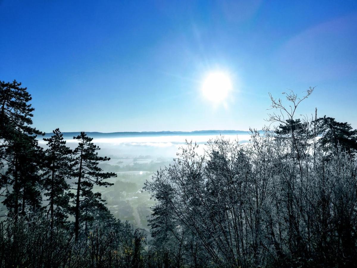 Appartement La Bernardine Au Coeur Du Jura Orgelet エクステリア 写真
